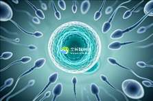 2025年国内十大助孕机构排名揭晓！这份榜单建议收藏