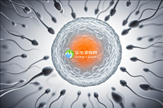 东北首屈一指的助孕中心，诚意推荐！