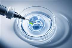 2025年全国助孕领域专业公司前十强榜单揭晓