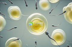 2025年国内7大助孕公司大对比，哪家最适合你？