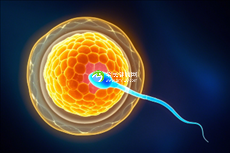 全国十大助孕公司你熟悉哪些，2025成功率出众的助孕机构介绍