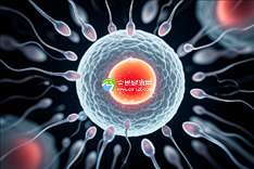 2025国内十大备受欢迎的助孕公司推荐