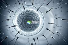 郑州哪家试管婴儿机构值得信赖？揭秘知名试管怀孕公司一览