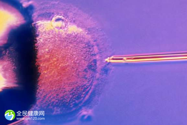 不孕多久可以试管移植囊胚？
