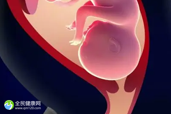 卵子捐赠者必须检查染色体吗？九江市妇幼保健院供卵生子试管多少钱？