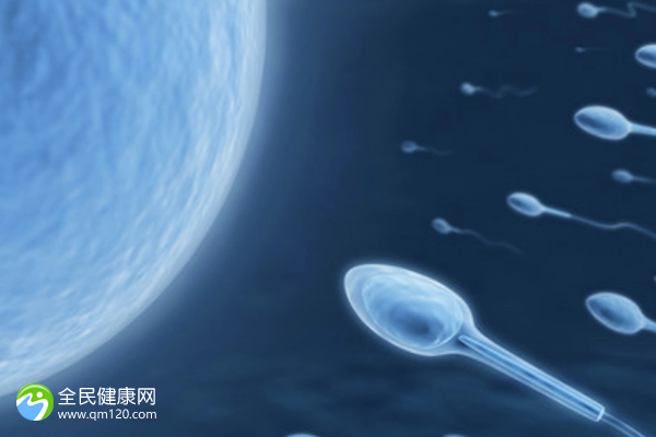 深圳第三代试管婴儿在哪里能做？