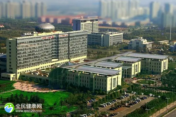 深圳哪家私立医院能做试管？