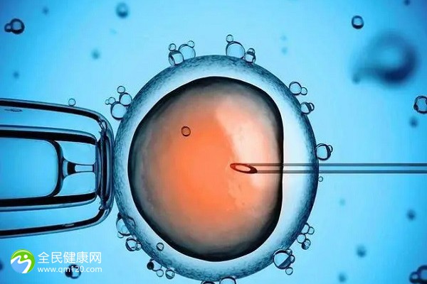 胚胎移植第28天出血的原因，找准致病原因是关键