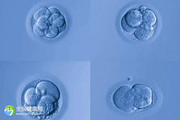 促排卵28个试管成功率，无腹水当月移植鲜胚也不现实