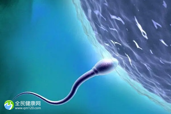 吃男人的精子的作用，prnp精子总活力正常值是多少？