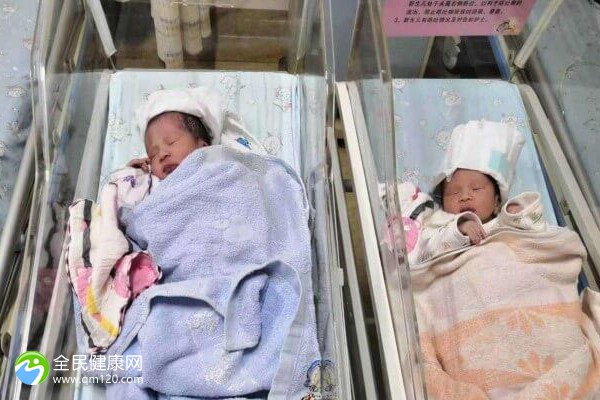 上海公立医院三代试管婴儿多少钱啊