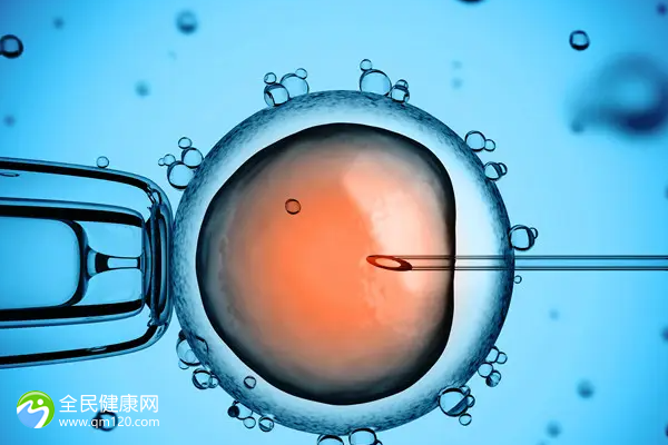 排卵期男人吃啥提高精子质量？精子排出体内还能受孕吗？